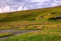 Norwick, Unst, Shetland.