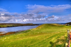 Gloup, Yell, Shetlands.