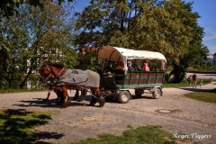 The carriage pulled by a pair of Westphalian draught horses waits for passengers at Paderborner Hof.