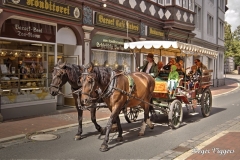 Hoher Weg, Goslar