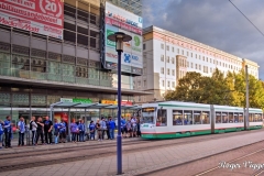Magdeburg, Sachsen-Anhalt, Germany.