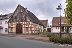 Schlangen