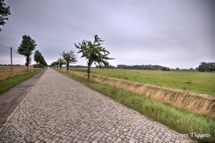 L2 road to Hansestadt Werben (Elbe), Germany