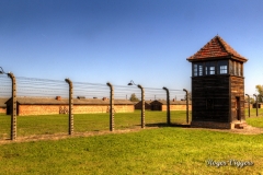 Auschwitz Extermination Camp