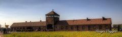 Auschwitz Extermination Camp Auschwitz Extermination Camp