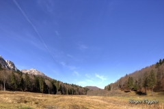 Valea Cerbului, Busteni, Romania.