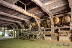 Detmold Open Air Museum