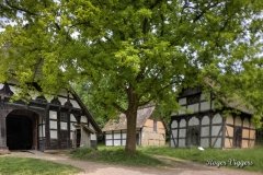 Detmold Open Air Museum