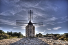 Moulin De Daudet
