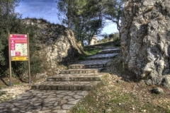 Moulin De Daudet