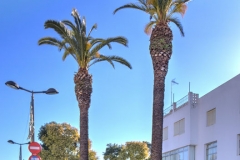 Paseo Palma, Fregenal de la Sierra, Badajoz, Spain