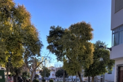Paseo Palma, Fregenal de la Sierra, Badajoz, Spain