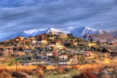 Krane, Albania