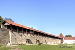 Narva Castle