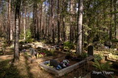 Sininõmme woodland cemetery