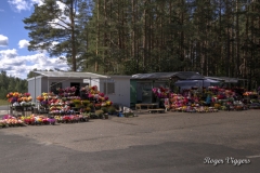 Sininõmme cemetery flower sellers