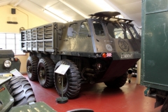 Stalwart amphibian