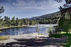 Lay-by/picnic area at Byglandsfjord, Norway