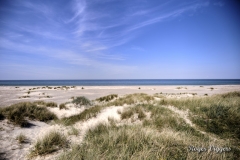 Northern tip of Denmark