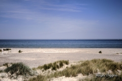 Northern tip of Denmark