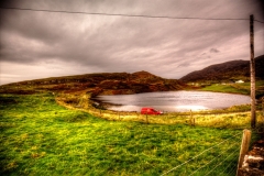 Rodel, Harris