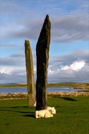 Stones of Stenness