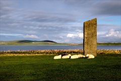 Stones of Stenness