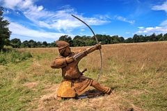 Battle battlefield 12