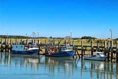 Rye Harbour 03