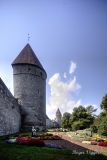 Old Town, Tallinn, Estonia