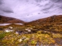 Tarbert
