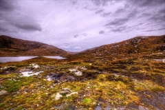 Urgha, Harris