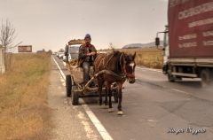 Horse drawn farmer's cart, Tohanu Nou, Romania