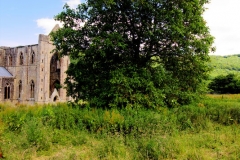 2016_06_27_Tintern_1574
