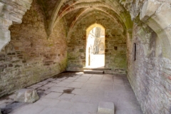 2016_06_27_Tintern_1598
