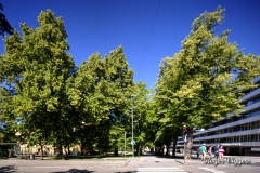 Vaasanpuistikko, Vaasa, Finland