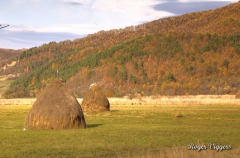 Iza Valley, Vadu Izei, Romania